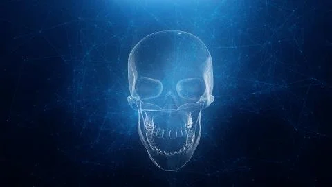 Abstract skull animation with blue plexus background Stock Illustration
