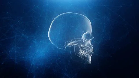 Abstract skull animation with blue plexus background Illustrazione stock