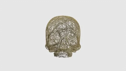 Abstract Skull Formed from Flowing Splines with Alpha Channel Video stock 325668061