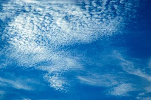 Abstract sky with clouds of algae 스톡 사진