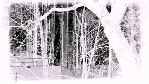 Abstract Sleep On The Front View With House And Trees Stock Footage 84254641