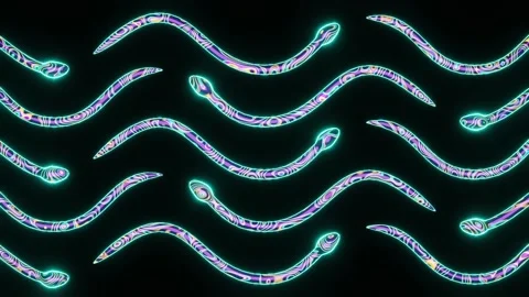 Abstract Slithering Snakes Loop Stock Footage 228822702