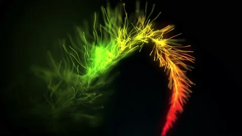 Abstract Slow Mo Fluid Particles Intro Stock Footage 223360951