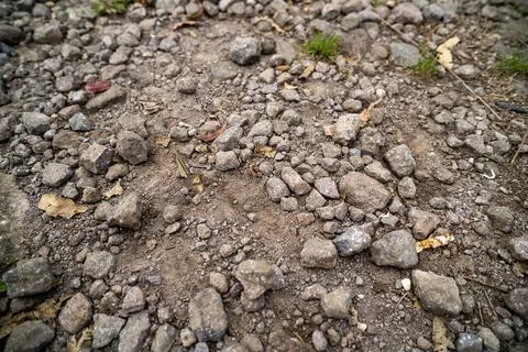 Abstract small stones random placement. Texture. Background Stock Photos