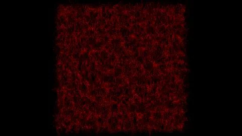 Abstract small wriggling red threads and waves on black background. Backgro.. Stock Illustration