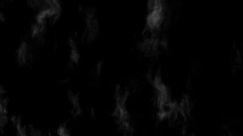 Abstract smoke cloud. Smoke in slow motion on black background, rising up. 4k Video stock 127293692