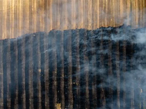 Abstract smoke pattern with golden backlighting Stock Photos