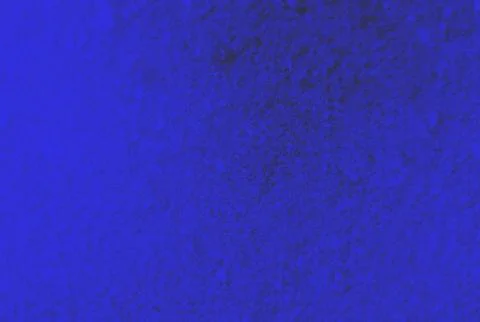 Abstract smooth shapes blue gradient with artistic texture background with .. イラスト素材