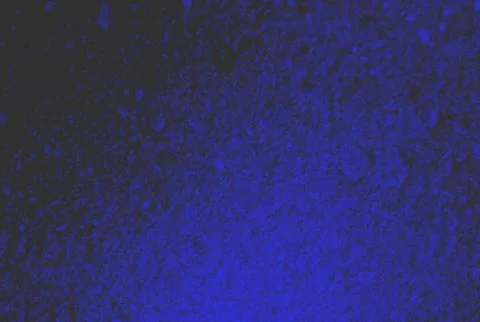 Abstract smooth shapes blue gradient with artistic texture background with .. イラスト素材