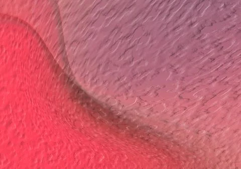 Abstract smooth shapes red and purple background with soft grainy texture. .. Stock Illustration