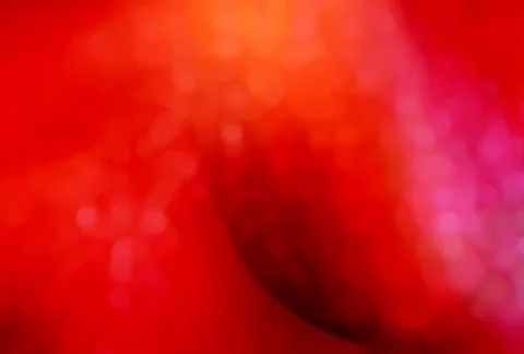 Abstract smooth shapes red gradient background with soft grainy texture desig Stock Photos