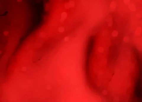 Abstract smooth shapes red gradient background with soft grainy texture desig Stock Photos