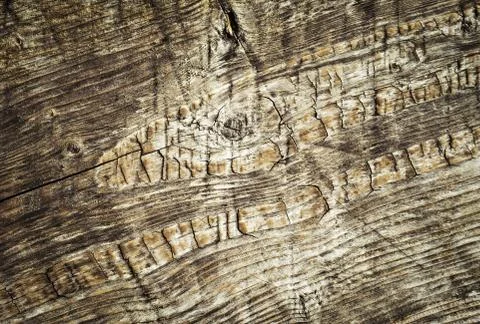 Abstract snake pattern on wood Stock Photos