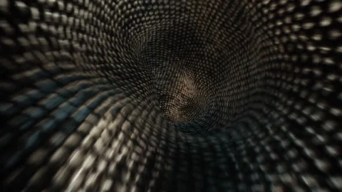 Abstract of snake skin inside Stock Footage 321769023