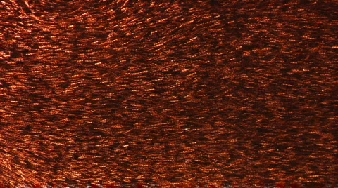 Abstract snow Vídeos de archivo 607819