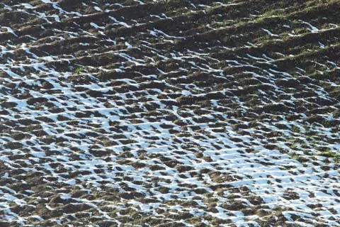 Abstract snow Stock Photos