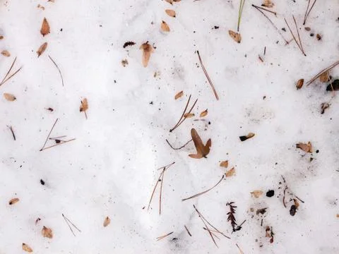 Abstract snow texture background closeup Stock-Fotos