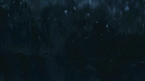 Abstract Soap Foam Bubbles Streaking Across Wet Glass Surface Stock Footage 342590986
