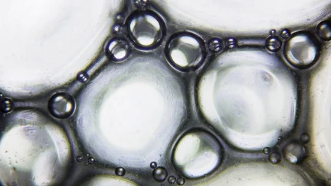 Abstract Soap Foam under Microscope Video stock 79920088