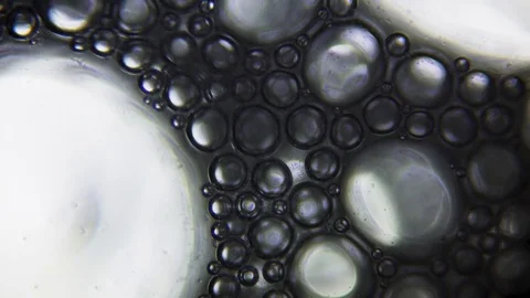 Abstract Soap Foam under Microscope Video stock 79922767