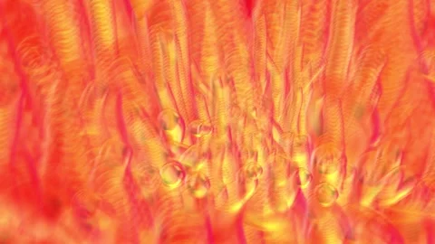 Abstract Soap Water Bubbles | 4K Animation Render Stock Footage 267009870