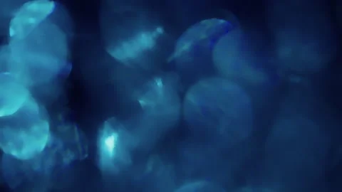 Abstract soft blue light leaks overlay effect Stock-Footage 340614007