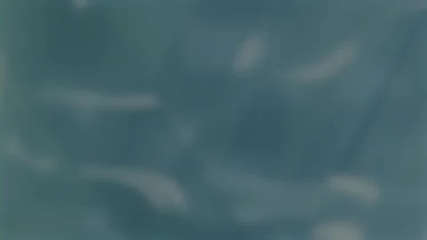 Abstract soft blue motion background fluid texture. Stock Footage 336813135