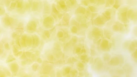 Abstract-soft-blur-glowing-yellow-wallpaper Stock Footage 252417712