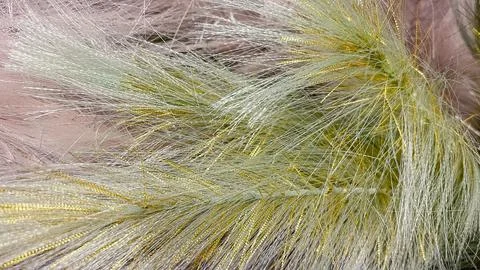 Abstract soft fluffy texture background in white silver pink green and gold.. Stock Photos