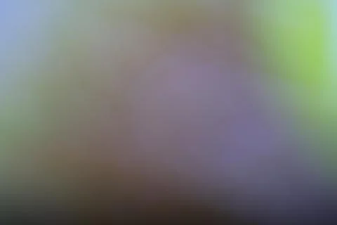Abstract soft focus background with blended green and purple light gradients Stock Photos