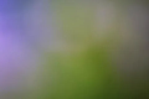 Abstract soft focus background with blended green and purple color tones Stock Photos