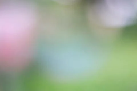 Abstract soft focus background with pastel green and pink blurred light gra.. Stock Photos