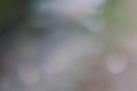 Abstract soft focus background with smooth gradients and light bokeh texture Stock Photos