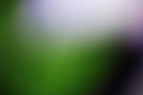 Abstract soft focus background with smooth green and purple light gradients Stock Photos
