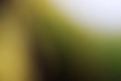 Abstract soft focus background with smooth gradients of green and yellow Stock Photos