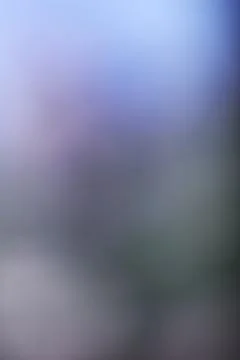 Abstract soft focus background with smooth blue and grey gradient tones Stock Photos