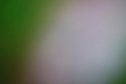 Abstract soft focus background with smooth green and white gradient Stock Photos