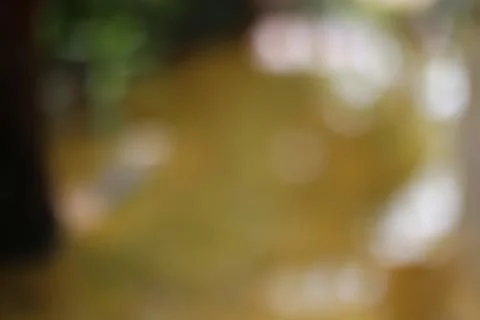 Abstract soft focus bokeh background with natural light colors Stock Photos