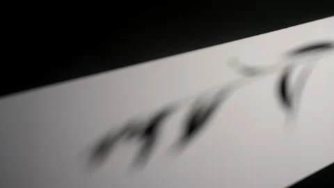 Abstract Soft Focus Shadows on a Beige Wall Surface Stock Footage 312452985