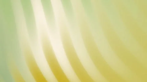 Abstract soft golden light curves with yellow shadows Stock Footage 338372492