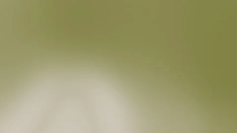 Abstract Soft Gradient Background Glowing in Muted Green and Beige Studio Lig Видео 335498043