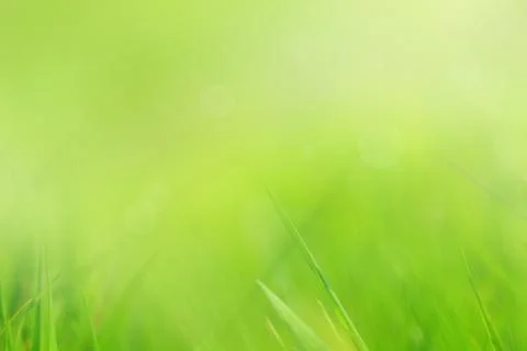 Abstract, soft grass background Stock Photos