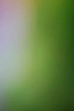 Abstract soft green and white gradient background with natural light Stock Illustration