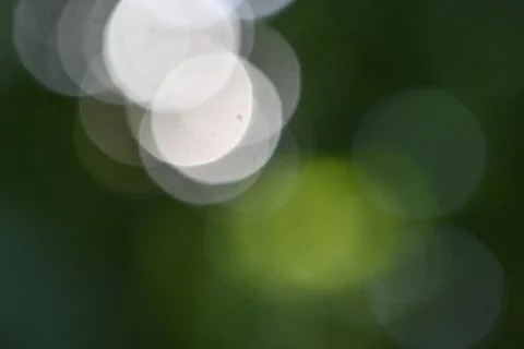 Abstract soft green blurred gradient background, ecology concept . Stock Photos