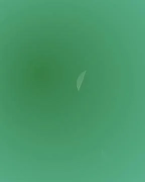 Abstract Soft Green Gradient Background with Subtle Light Lens Flare and Mi.. Stock Illustration