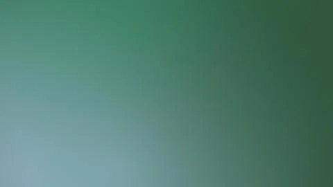 Abstract Soft Green Gradient Background with Elegant Minimalist Texture and.. Stock Illustration