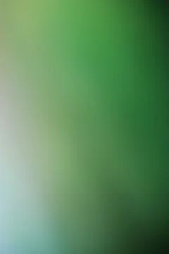 Abstract soft green gradient background with smooth light transitions Stock Photos