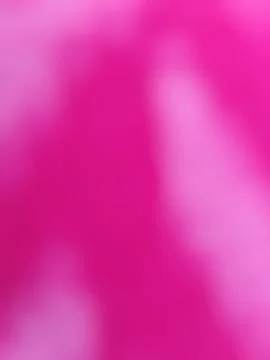 Abstract soft pink blurred background with subtle color gradient Stock Photos