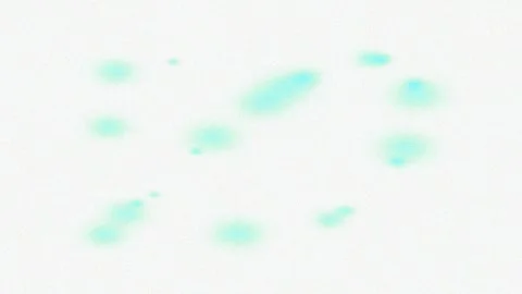 Abstract Soft Pink Blurry Bokeh Lights on White Textured Background Stock Footage 332584361