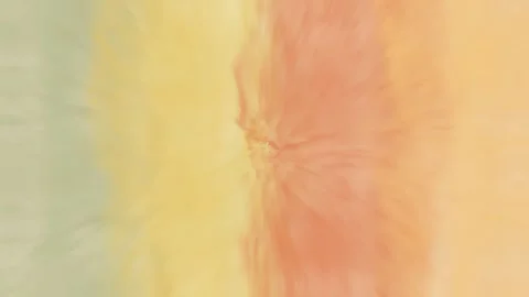 Abstract Soft Screen Texture Background Stock Footage 323350533